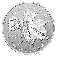 Kanada - 10 CAD Silber Maple Leaf 2019 - 1/2 Oz Silber