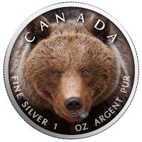 Kanada - 5 CAD Maple Leaf Wildlife Grizzlybr 2019 - 1 Oz Silber Color
