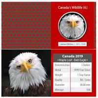 Kanada - 5 CAD Maple Leaf Wildlife Bald Eagle 2019 - 1 Oz Silber Color