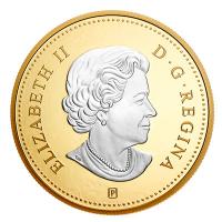 Kanada - 0,05 CAD Big Coin Biber - 5 Oz Silber Gilded