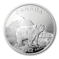 Kanada - 5 CAD Wildlife Serie Grizzly 2011 - 1 Oz Silber