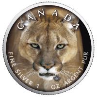 Kanada - 5 CAD Maple Leaf Wildlife Puma 2019 - 1 Oz Silber Color