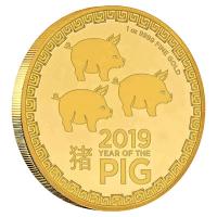 Niue - 250 NZD Lunar Jahr des Schwein 2019 - 1 Oz Gold