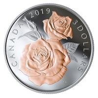Kanada - 3 CAD Queen Elizabeth Rose 2019 - 1/4 Oz Silber