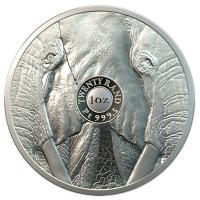 Südafrika - 50 Rand Big Five Elefant 2019 - 1 Oz Platin
