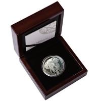 Südafrika - 50 Rand Big Five Elefant 2019 - 1 Oz Platin