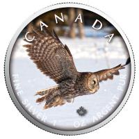 Kanada - 5 CAD Maple Wildtiere Unterwegs Eule 2019 - 1 Oz Silber Color