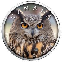 Kanada - 5 CAD Maple Leaf Wildlife Eule 2019 - 1 Oz Silber Color