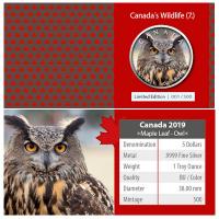 Kanada - 5 CAD Maple Leaf Wildlife Eule 2019 - 1 Oz Silber Color