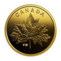 Kanada - 0.25 CAD Maple Leaf 2019 - 0,5g Gold PP