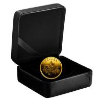 Kanada - 0.25 CAD Maple Leaf 2019 - 0,5g Gold PP