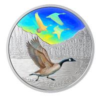 Kanada - 30 CAD Majestic Birds Kanadagnse 2019 - 2 Oz Silber