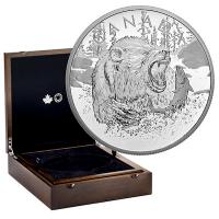 Kanada - 125 CAD Grizzly 2019 - 1/2 KG silber