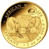 Somalia - 1000 Shillings Elefant 2019 - 1 Oz Gold Privy ANA