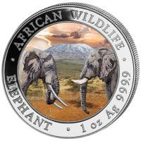 Somalia - African Wildlife Elefant Tag und Nacht Set 2020 - 2*1 Oz Silber