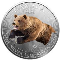 Kanada - 5 CAD Predator Serie Grizzly 2019 - 1 Oz Silber Color