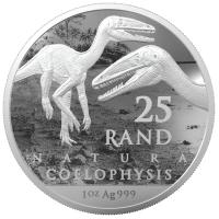 Sdafrika - 25 Rand Natura Coelophysis 2020 - 1 Oz Silber