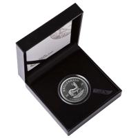 Südafrika - Krügerrand 2020 - 1 Oz Silber Polierte Platte