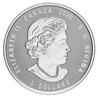 Kanada - 5 CAD Geburtssteine: Januar 2020 - Silber PP