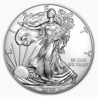 USA - 1 USD Silver Eagle 2020 - 1 Oz Silber