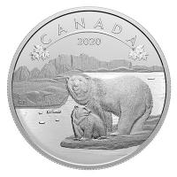 Kanada - 10 CAD O Canada Eisbr 2020 - 1/2 Oz Silber