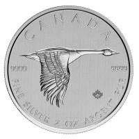 Kanada - 10 CAD Goose Ente 2020 - 2 Oz Silber