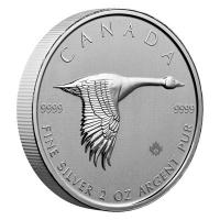 Kanada - 10 CAD Goose Ente 2020 - 2 Oz Silber