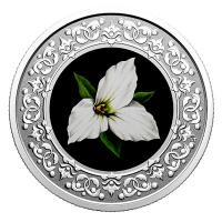 Kanada - 3 CAD Blumenserie: Waldlilie - Silber Proof