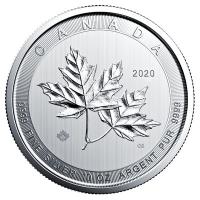 Kanada - 50 CAD Magnificent Maple Leaves 2020 - 10 Oz Silber