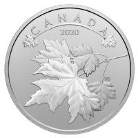 Kanada - 10 CAD O Canada Maple Leaves 2020 - 1/2 Oz Silber