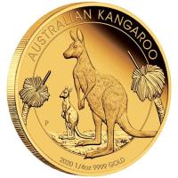 Australien - 25 AUD Knguru 2020 - 1/4 Oz Gold PP