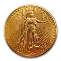 USA - 20 USD Double Eagle - 30,09g Goldmnze