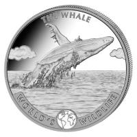 Kongo - 20 Francs Worlds Wildlife Wal/Whale 2020 - 1 Oz Silber