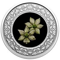 Kanada - 3 CAD Blumenserie: Pazifischer Blten Hartriegel - Silber Proof