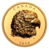 Kanada - 250 CAD Stolzer Weikopfseeadler 2020 - 2 Oz Gold