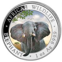 Somalia - African Wildlife Elefant 2021 - 1 Oz Silber Color