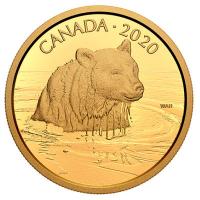 Kanada - 350 CAD Grizzly 2020 - 35g Gold PP