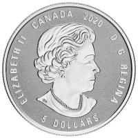 Kanada - 5 CAD Geburtssteine: Dezember 2020 - Silber PP