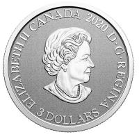 Kanada - 3 CAD Blumenserie: Wild Rose - Silber Proof