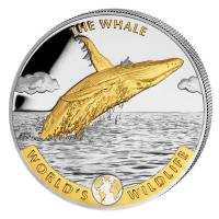 Kongo - 20 Francs Worlds Wildlife Wal/Whale 2020 - 1 Oz Silber Gilded