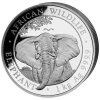 Somalia - African Wildlife Elefant 2021 - 1 KG Silber