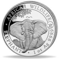 Somalia - African Wildlife Elefant 2021 - 1 Oz Silber Privy Ochse