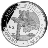 Somalia - African Wildlife Leopard 2020 - 1 KG Silber