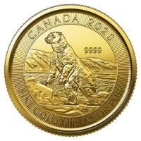 Kanada - 5 CAD Polarbr 2020 - 1/10 Oz Gold