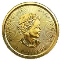 Kanada - 5 CAD Polarbr 2020 - 1/10 Oz Gold