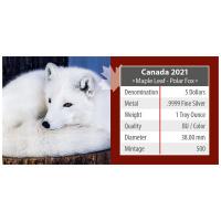 Kanada - 5 CAD Maple Leaf Wildlife Polarfuchs 2021 - 1 Oz Silber Color