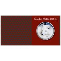 Kanada - 5 CAD Maple Leaf Wildlife Polarfuchs 2021 - 1 Oz Silber Color