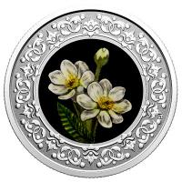 Kanada - 3 CAD Blumenserie: Silberwurz - Silber Proof
