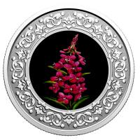 Kanada - 3 CAD Blumenserie: Weidenrschen - Silber Proof