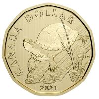 Kanada - 3,90 CAD Sumpfschildkröte 2021 - Kursmünzensatz